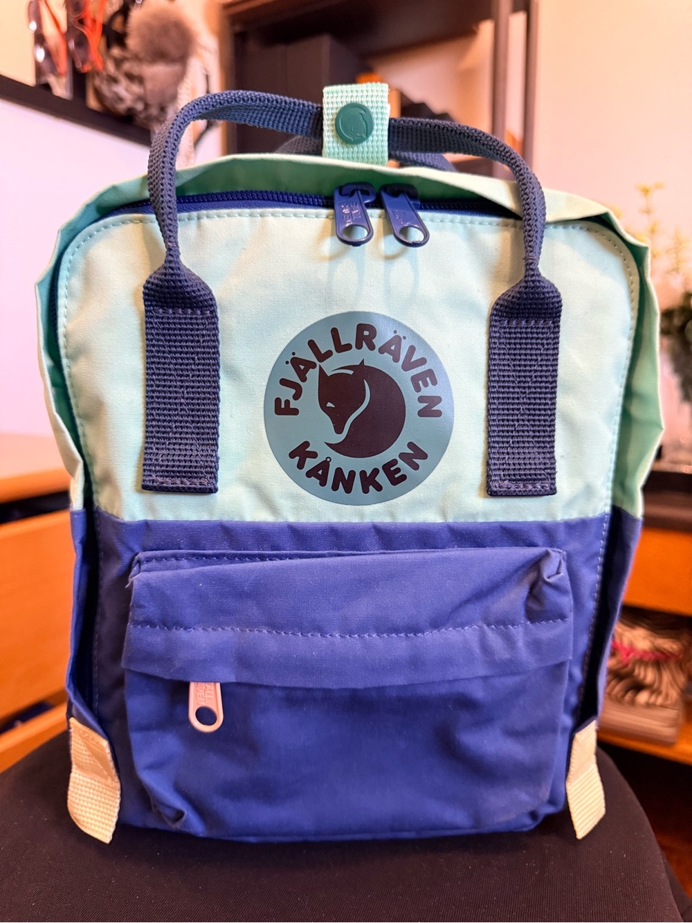 Fjällräven Kånken Art Mini Backpack – New Without Tags